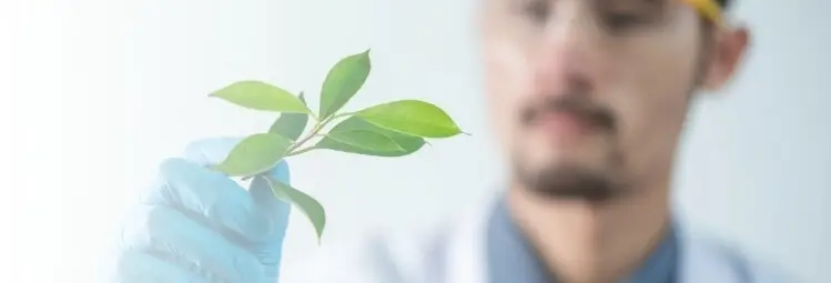 Life Sciences - Artsyl