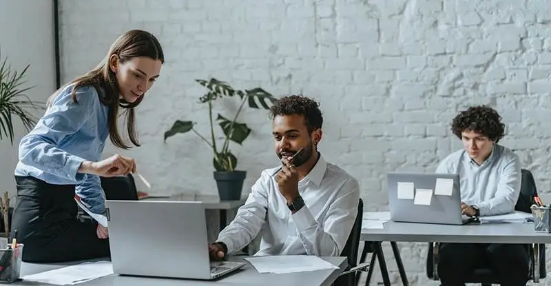 Digital Catalogs - Artsyl