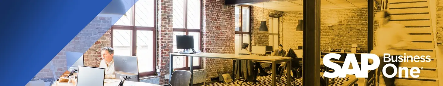 SAP Business One - Artsyl