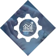 Functionality - Artsyl