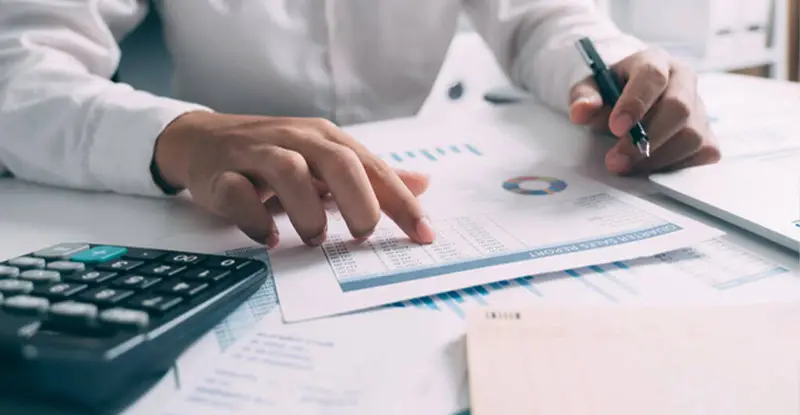 Analyze Budget Constraints - Artsyl